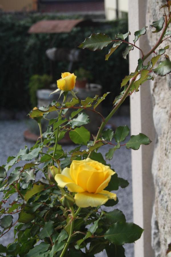Cascina San Martino Bed and Breakfast Passirano Eksteriør billede